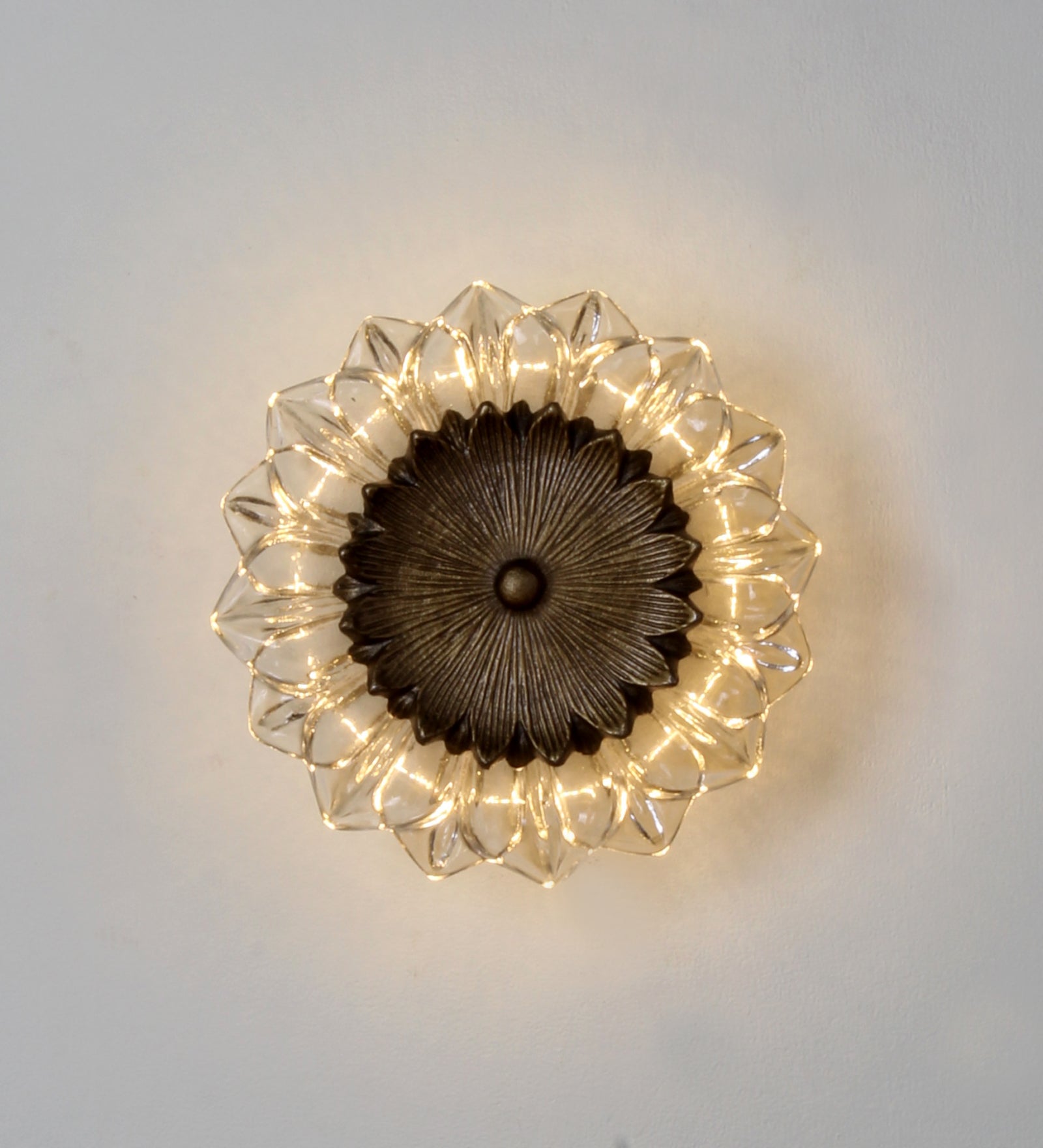 Ujjala Glass & Metal LED Wall Sconces