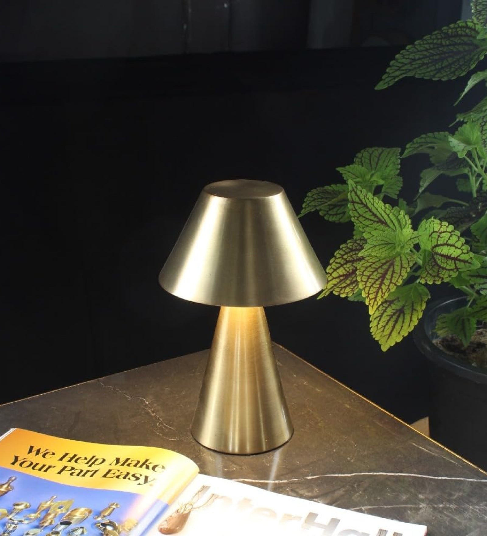 Ujjala Rechargeable Cordless Battery Lamp With USB C Charging