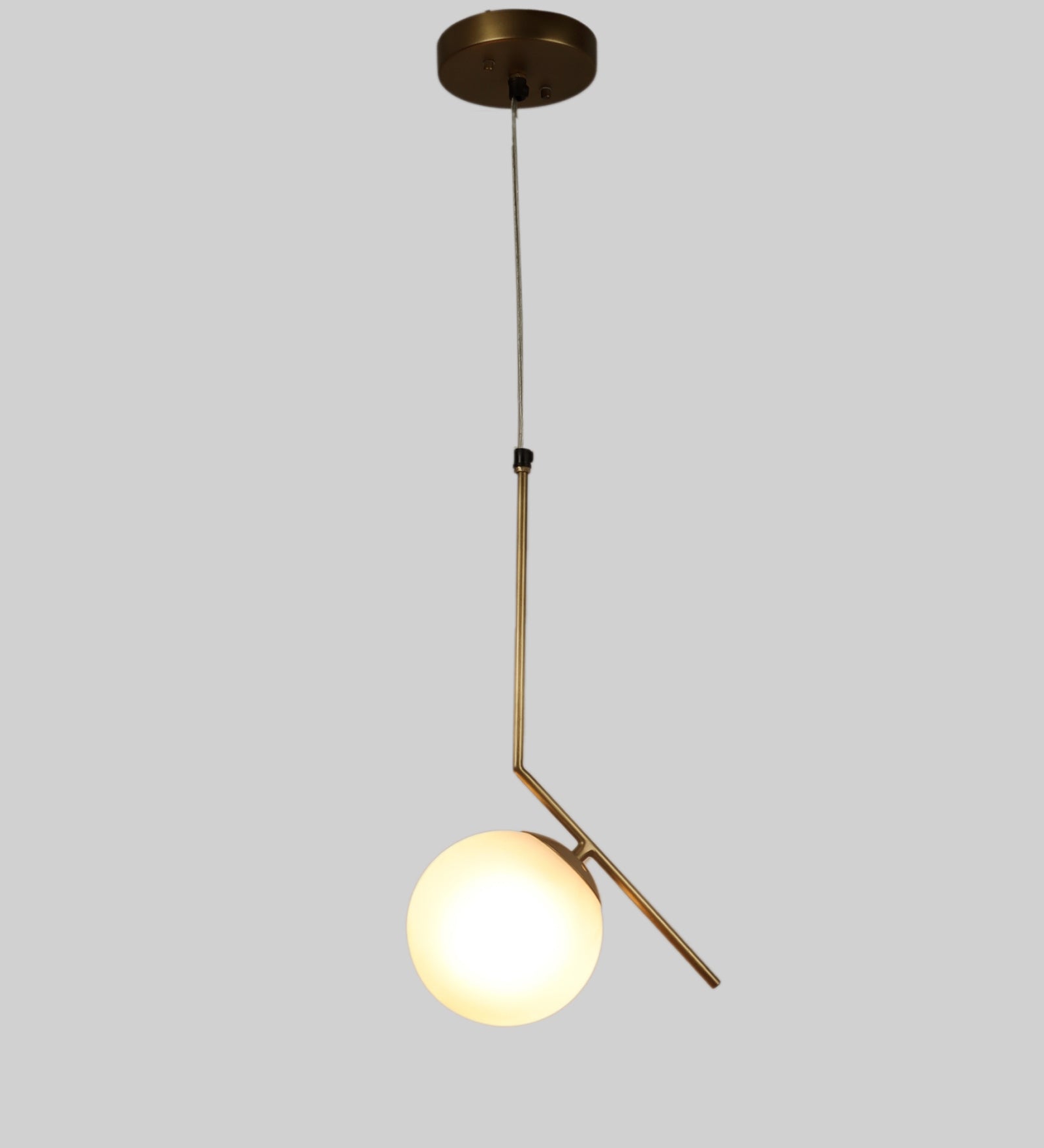 Hanging Ceiling Light With 1 Frosted Globe